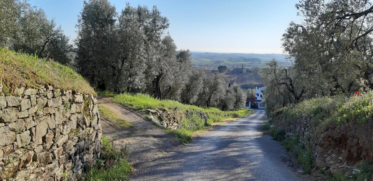 Il Fienile Di Tigliano Villa Vinci Exteriör bild
