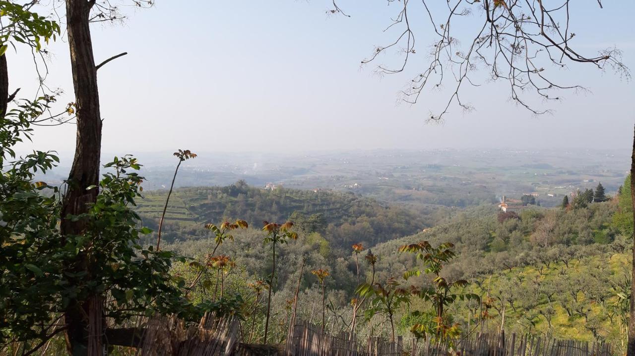 Il Fienile Di Tigliano Villa Vinci Exteriör bild